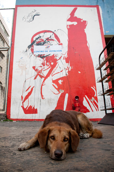 Chien devant une peinture murale de chavez